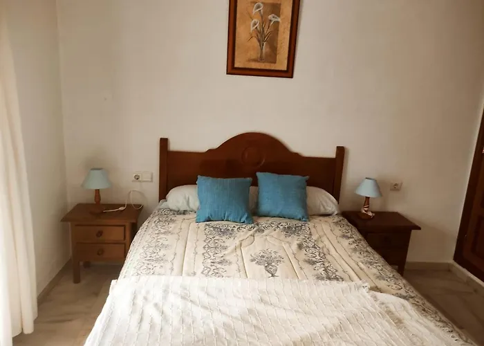 Apartamento Conileno Con Terraza